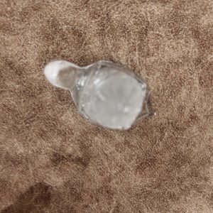 AAA Grade Sphatik Tortoise Idol – Certified Clear Quartz Crystal