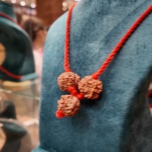 Rudraksha Raksha Kavach for Protection