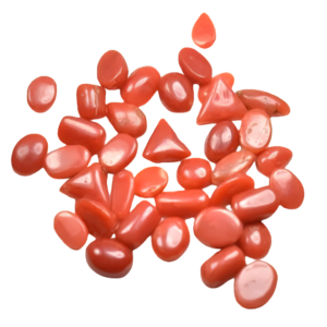 Natural Red Coral (Moonga) – Japan Origin